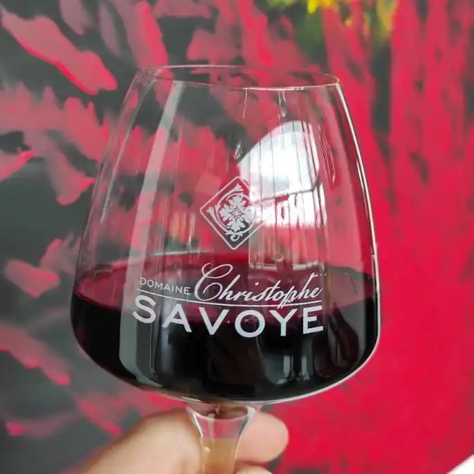 Dégustation de vin des crus du Beaujolais au Domaine Savoye