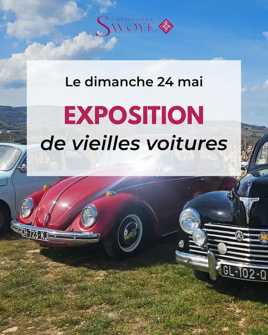 Exposition de voitures anciennes au Domaine Christophe Savoye