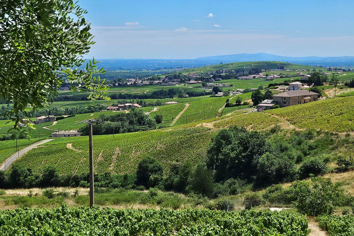Vue panoramique depuis la chambre d’hôtes Le Panoramic