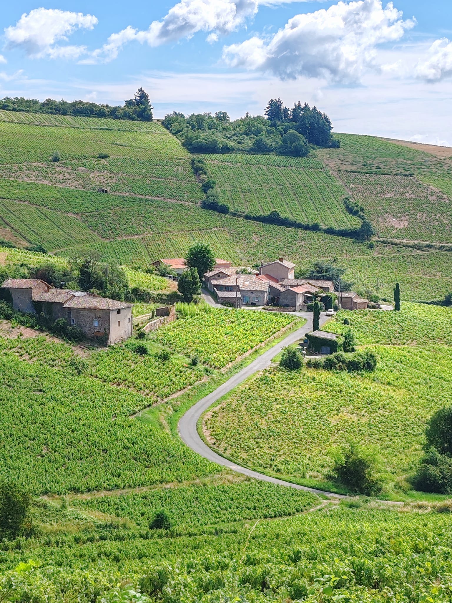Randonnée gratuite pour explorer les paysages du Beaujolais