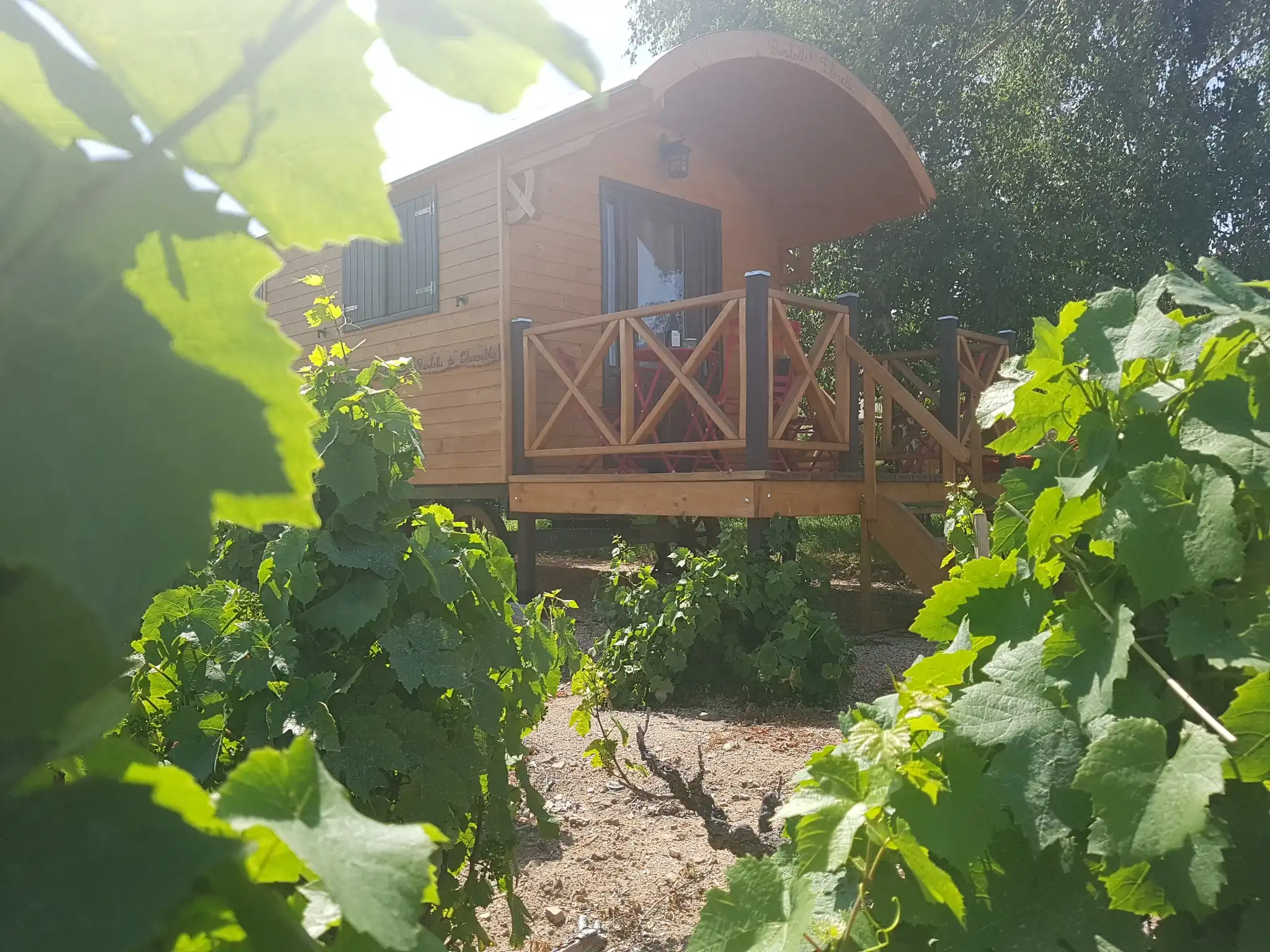 La roulotte de Chiroubles au milieu des vignes