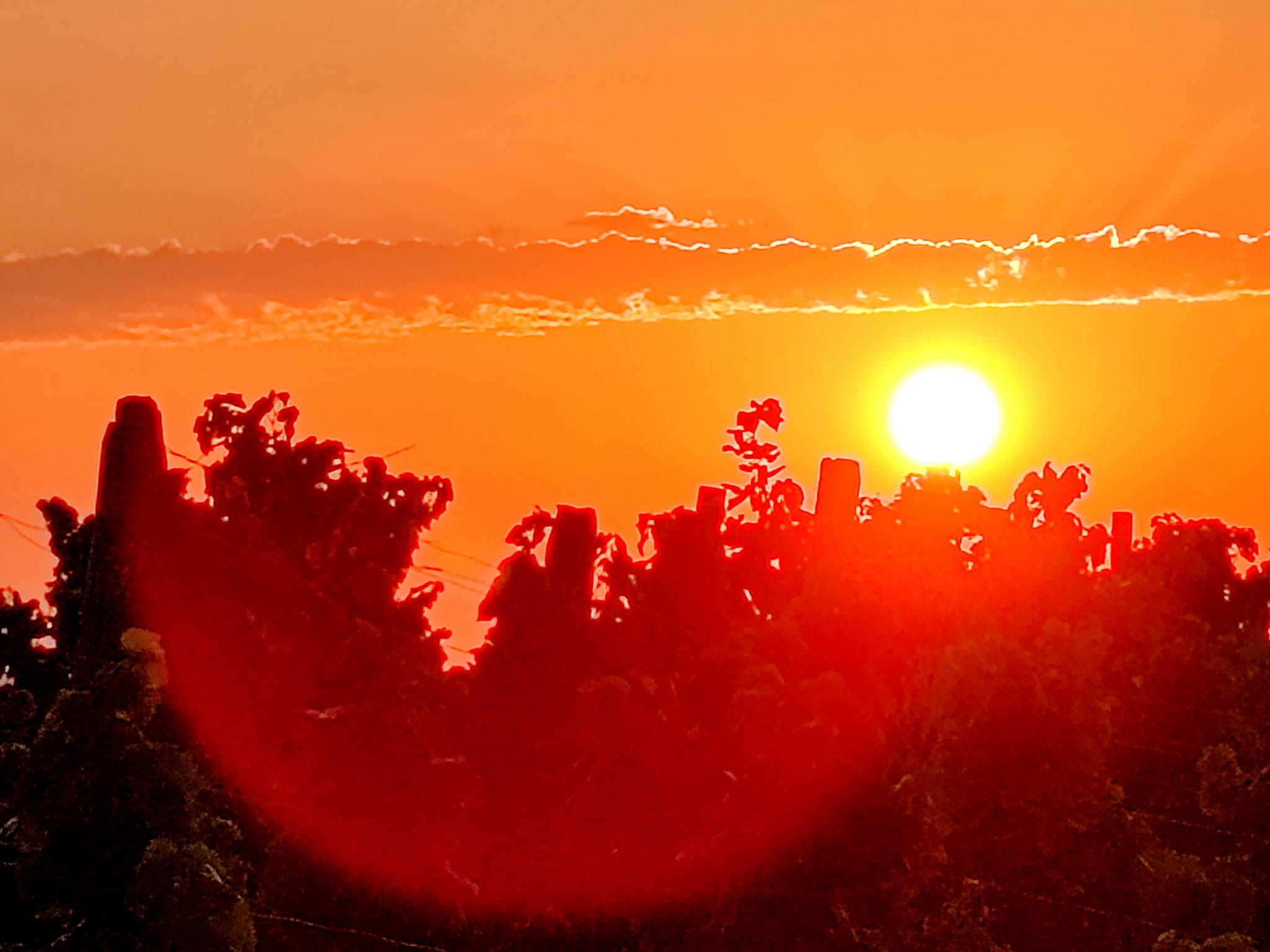 Séance de yoga à Chiroubles