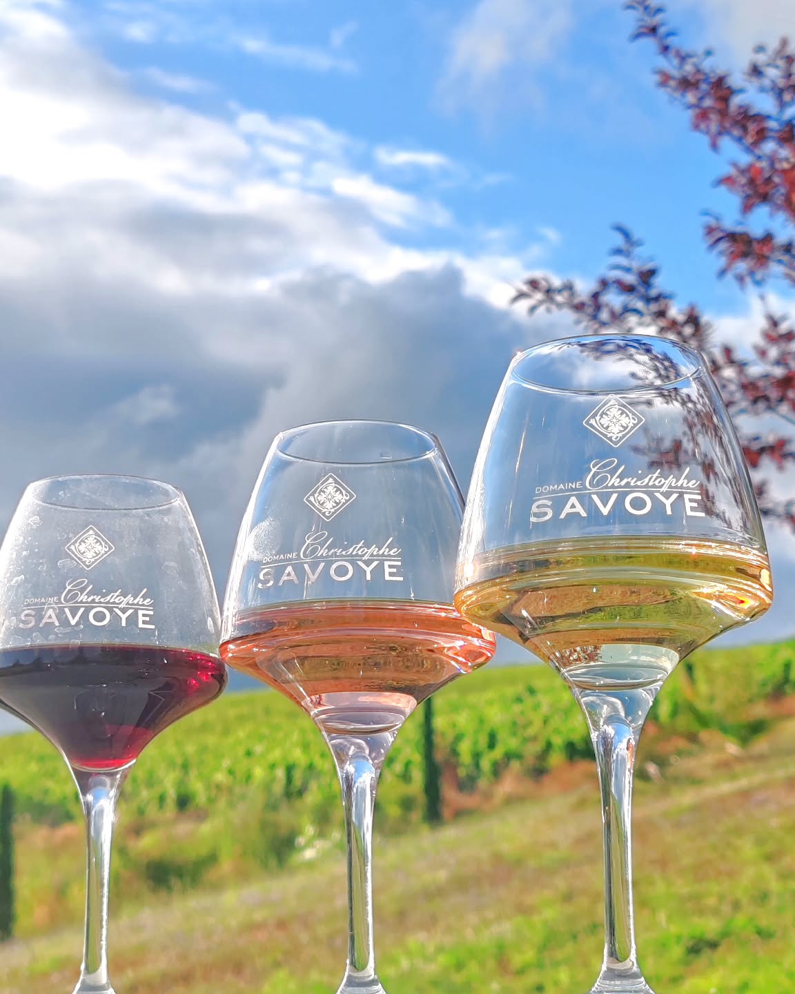 Dégustation et séjour au Domaine Christophe Savoye à Chiroubles