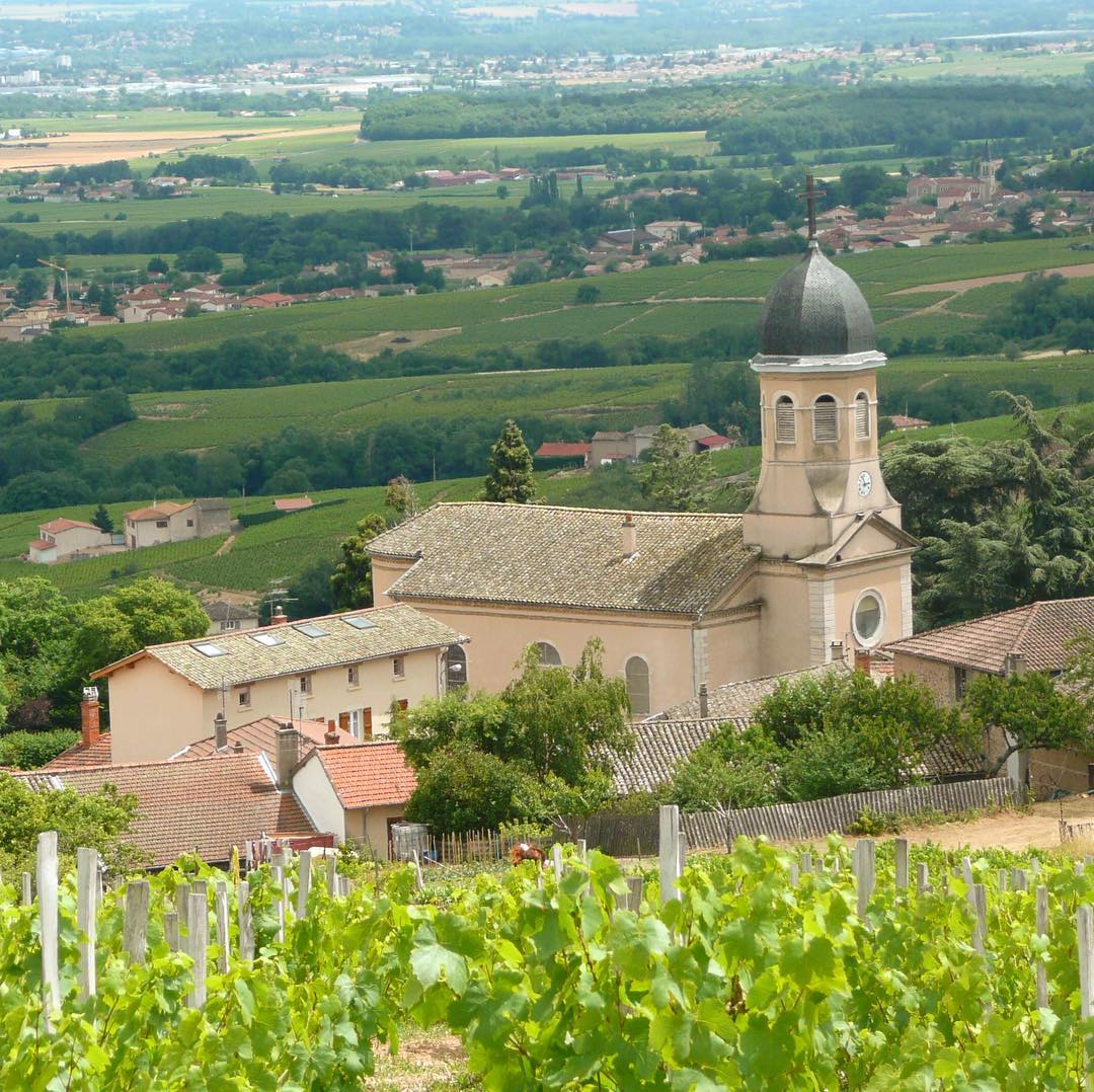 Village et vignes de Chiroubles en été